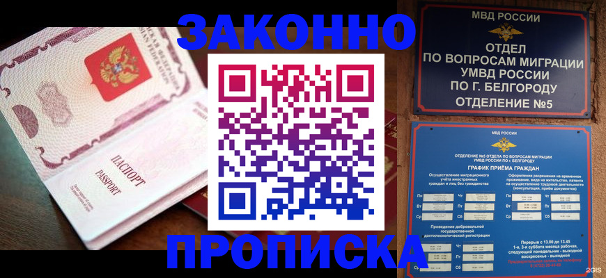 временная регистрация для школы в Волосово